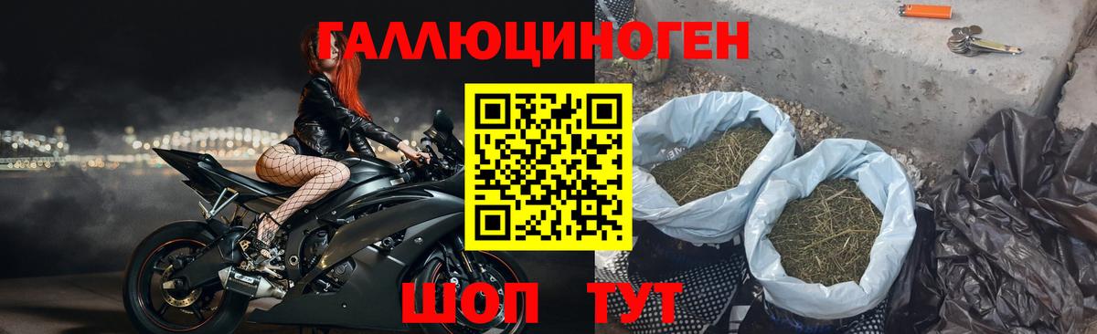 Псилоцибиновые грибы прущие грибы Баксан